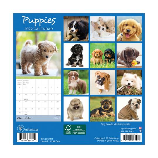 2022 puppies mini calendar michaels